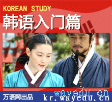 韩国语 (入门+中级+常用语)全套在线课程--------视频学韩语